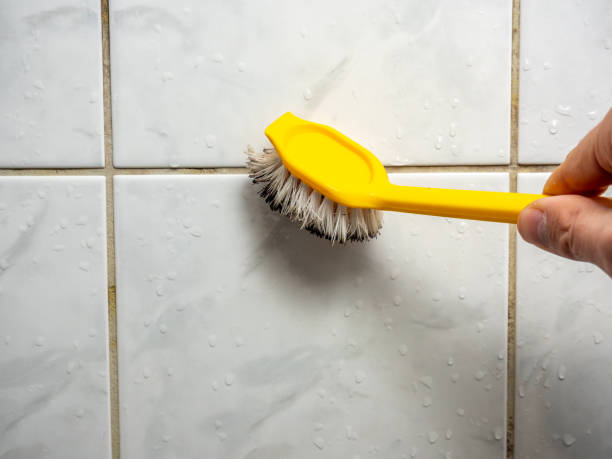 Best Mold Testing  in Ovilla, TX